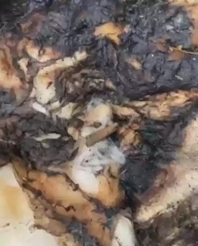 浙江十大危险小区排名(杭州居住环境最好的小区排名)插图 浙江十大危险小区排名(杭州居住环境最好的小区排名)插图