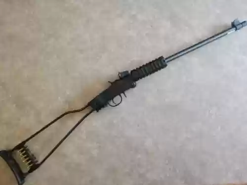 民用十大生存步枪图片(十大野外生存枪)插图