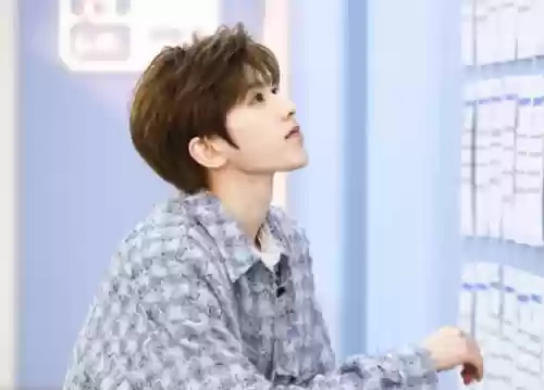 跑男第八季演员阵容名单(参加过跑男的演员)插图11 跑男第八季演员阵容名单(参加过跑男的演员)插图11