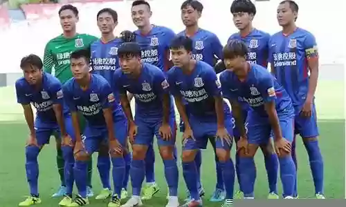 陶金申花阵容搭配