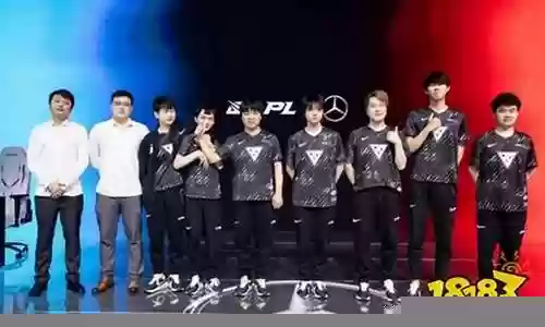 山鸡大军阵容搭配