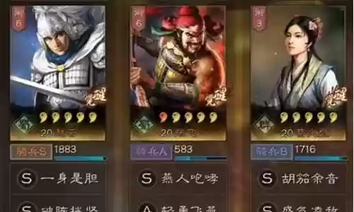 蔡文姬赵云阵容怎么搭配插图
