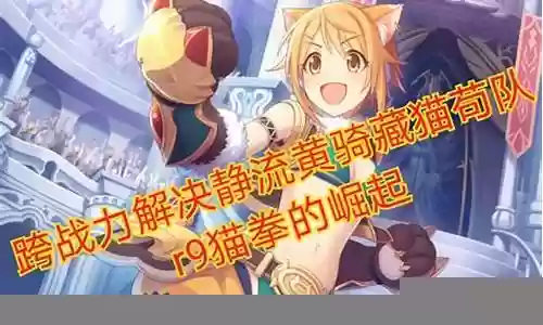 国服猫拳阵容