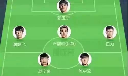 绿城队主力阵容最新