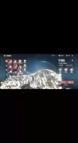 永劫老虎阵容插图