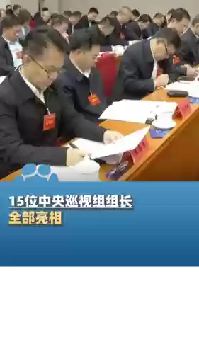 领导视察阵容插图