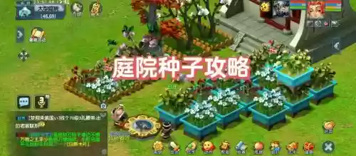 梦幻西游花圃可以种几个种子