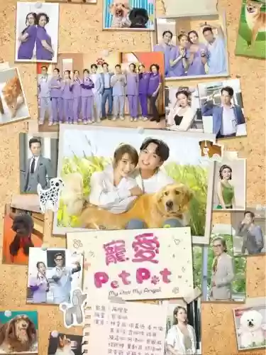 宠爱全阵容插图