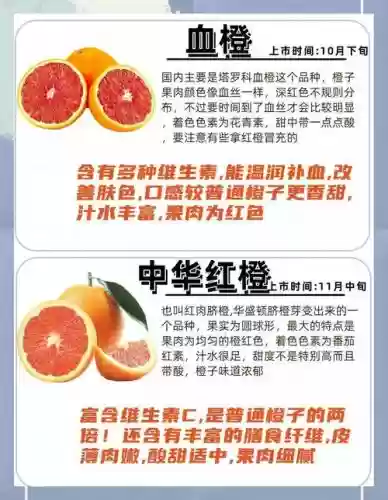 橙子大阵容