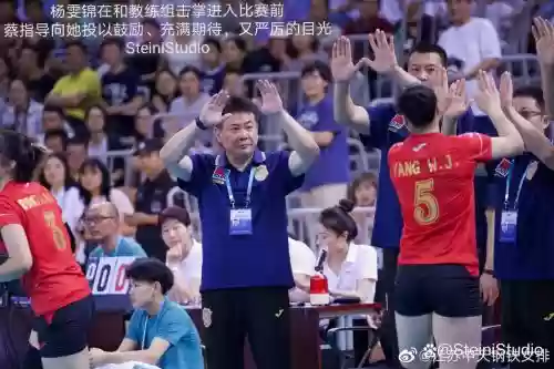 阵容指导