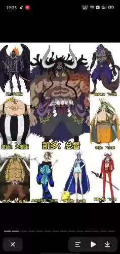 凯多阵容插图