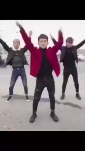 摇摆阳阵容插图