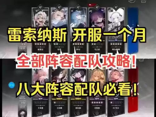 纳斯阵容插图