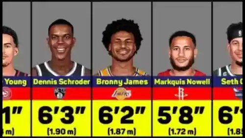 矮子阵容nba