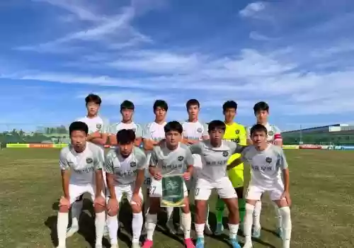 绿城阵容2017主力阵容