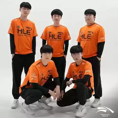 全胜战队阵容插图