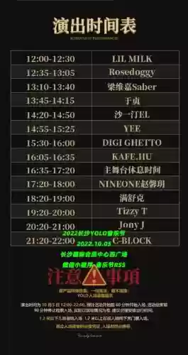 yolo往年阵容