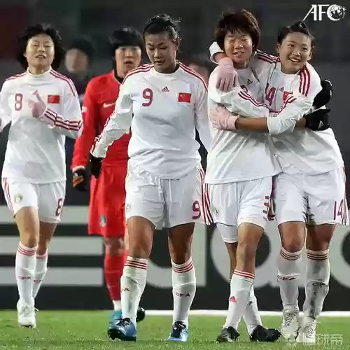 女足2010阵容插图