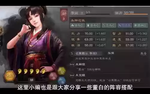 董白阵容插图