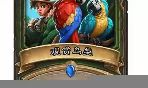 炉石传说鸟类伙伴阵容搭配