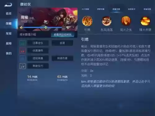 周瑜干扰技能