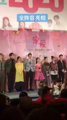 宠爱全阵容