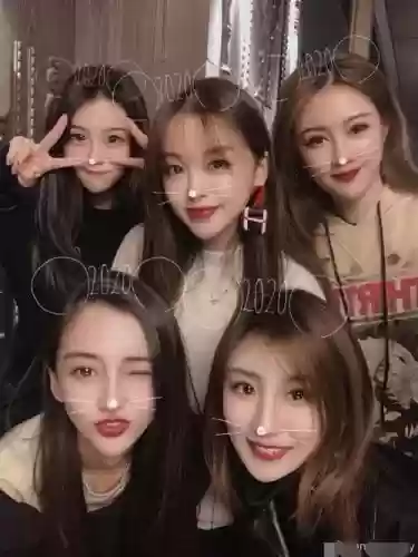 网红脸阵容插图