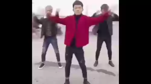 摇摆阳阵容