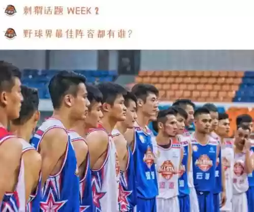 野球比赛阵容