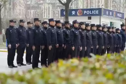 警察最强阵容插图