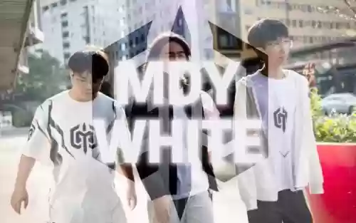 mdyw什么阵容插图