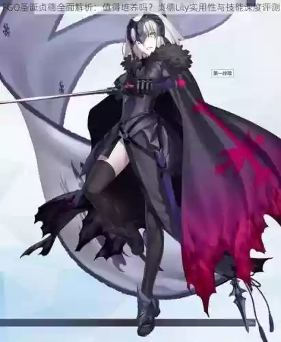 fgo圣诞贞德lily技能插图