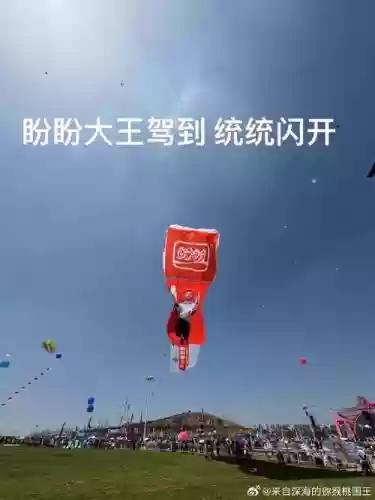 风筝拉扯阵容插图