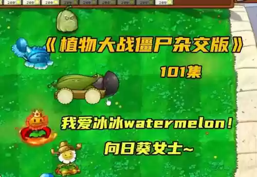 无敌小猫阵容