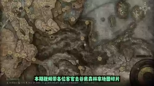森林武器在那拿