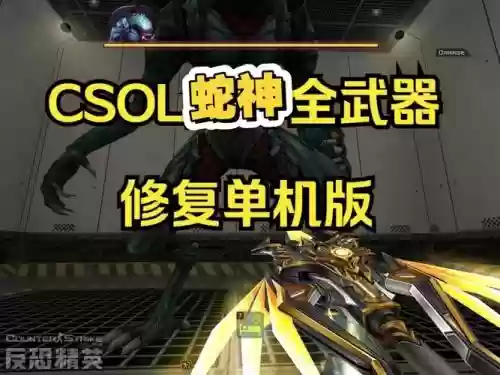 csol单机版bte武器修改插图