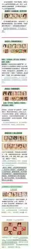 sp白虎搭配阵容插图