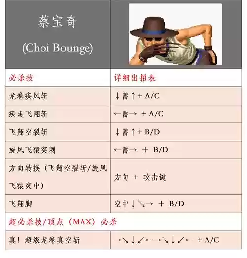 98拳皇援护的技能点要不要加插图