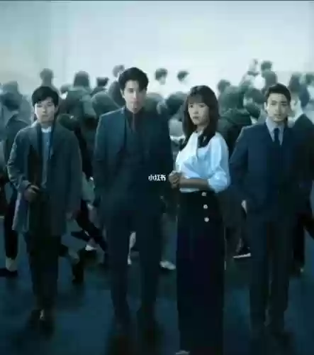 阳光之下阵容
