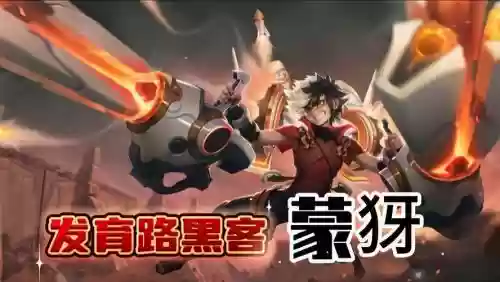 黑客猫咪阵容_1