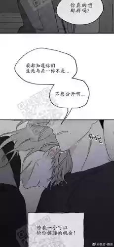 喜欢上你就输了攻略插图