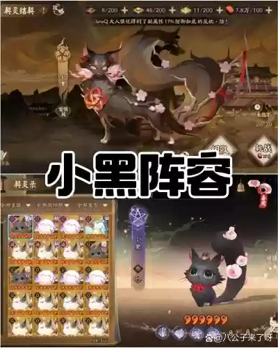 小黑挖土阵容