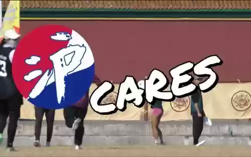 沪cares阵容插图