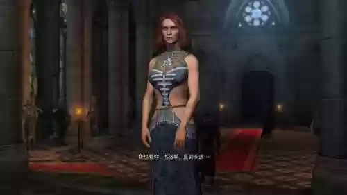 巫师1加强版完美攻略插图