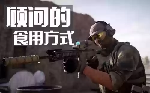 叛乱沙漠风暴顾问武器插图
