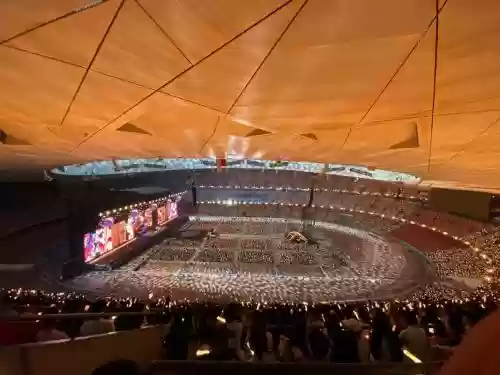 鸟巢的阵容插图