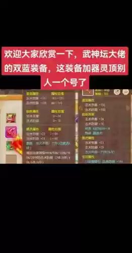 cjq带什么属性装备插图