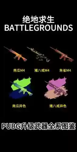 刺激战场各种装备