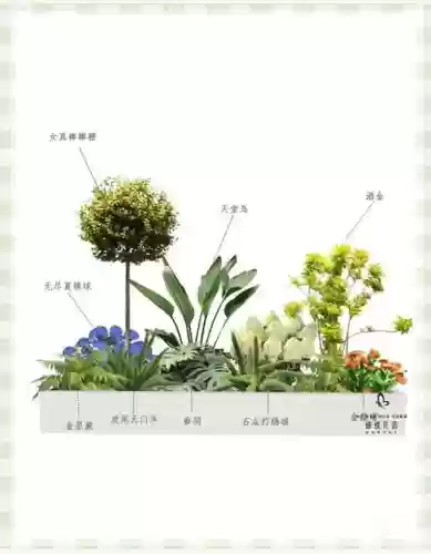 植物阵容投稿