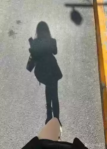 影子美女阵容插图